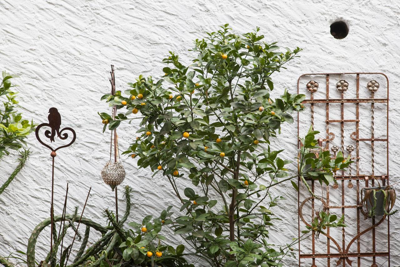 Caffe Dell'Arte Boutique Rooms Локарно Екстериор снимка
